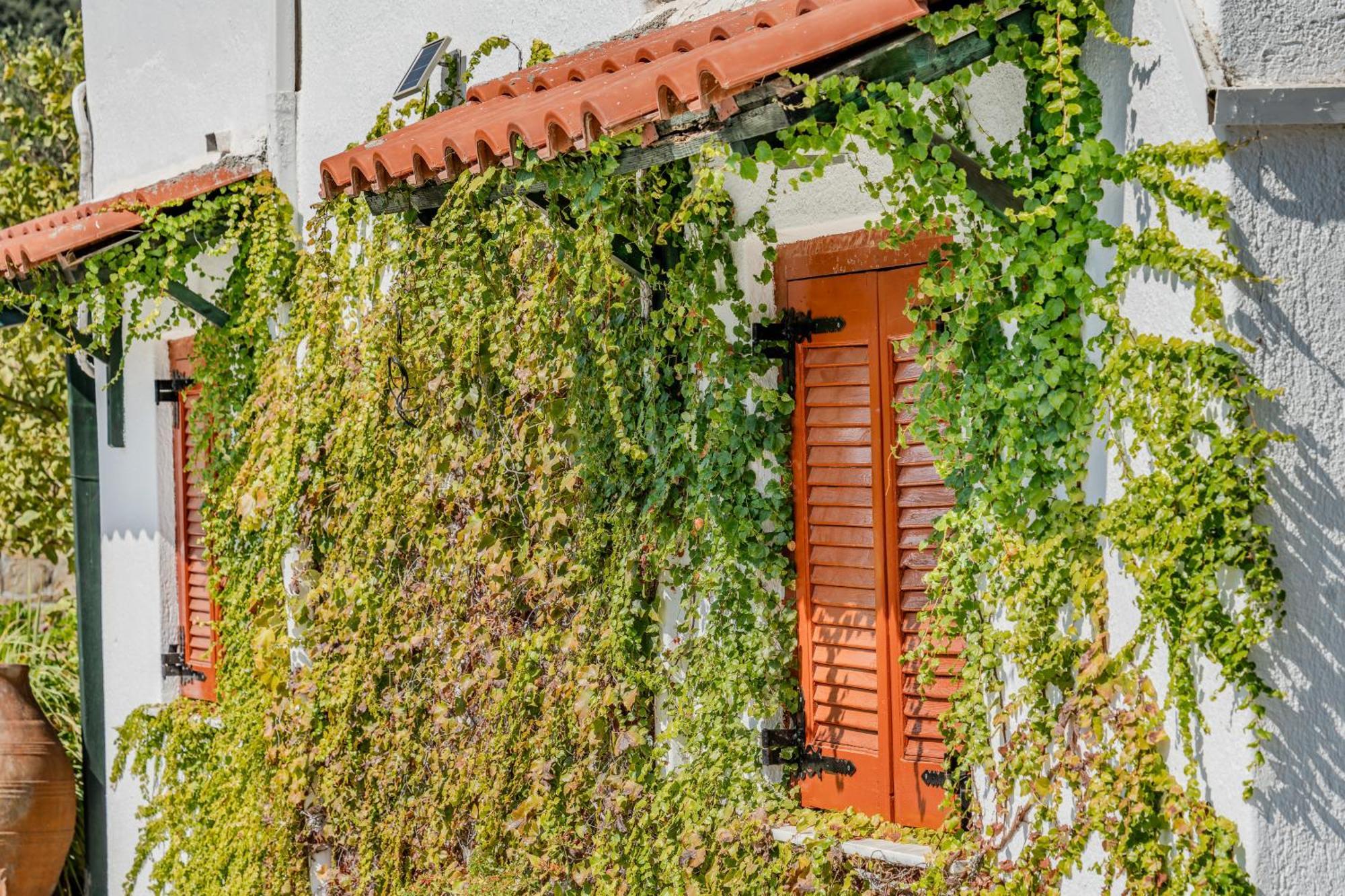 Athina Villas Istron Exterior foto
