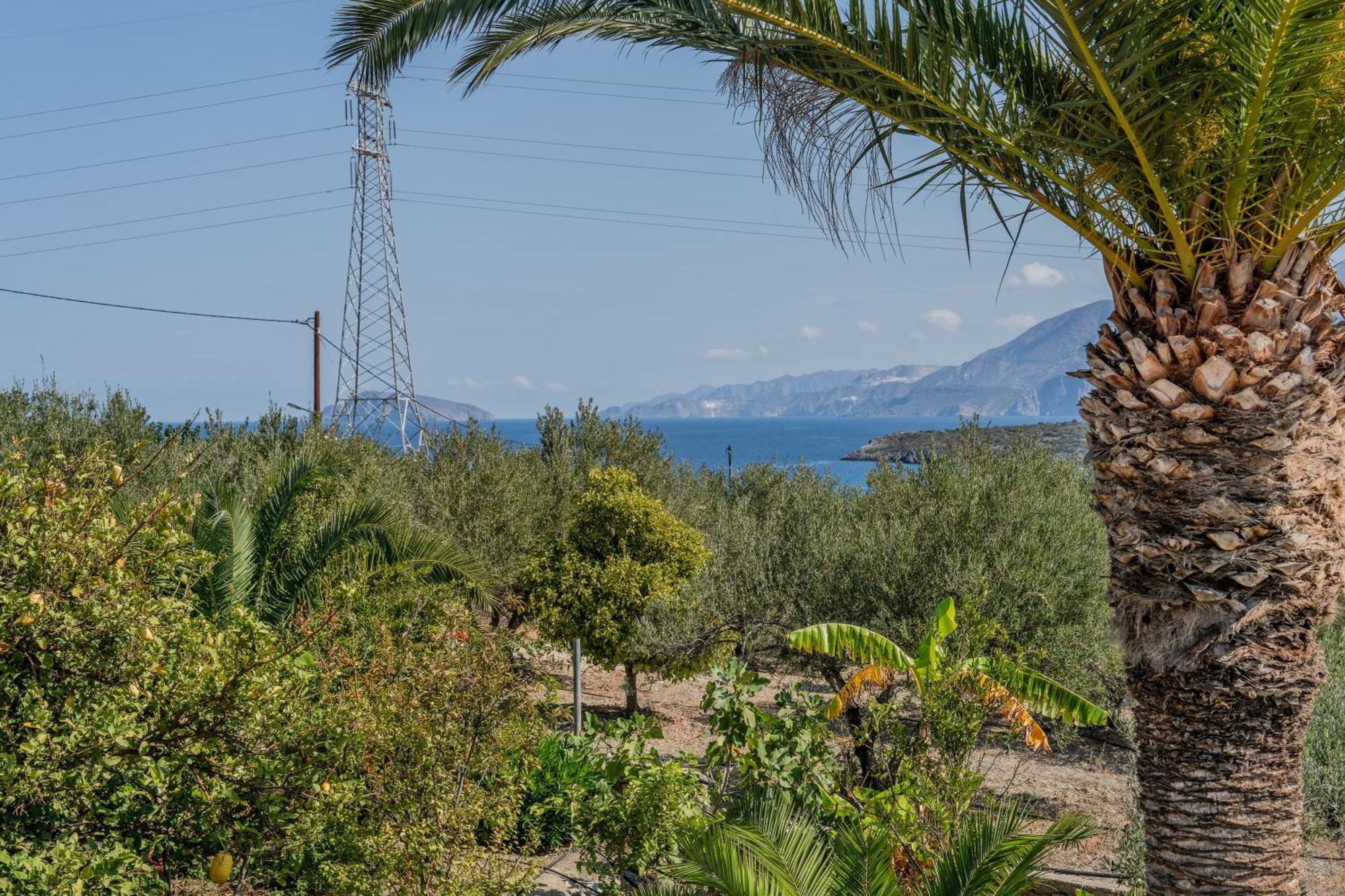 Athina Villas Istron Exterior foto